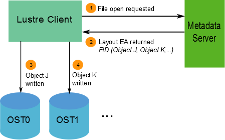 Lustre client requesting file data